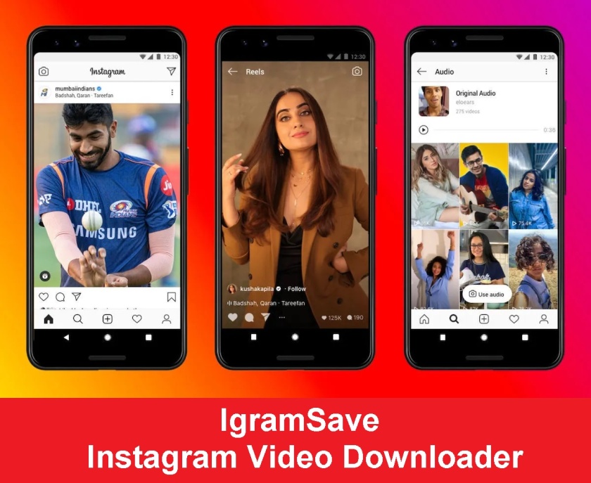 Instagram Video Downloader